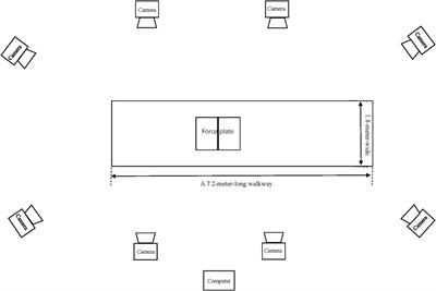 Lower limbs inter-joint coordination and variability during typical Tai Chi movement in older female adults